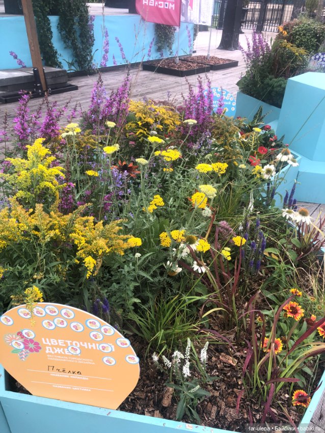 А в Москве Цветочный джем (фото 10)