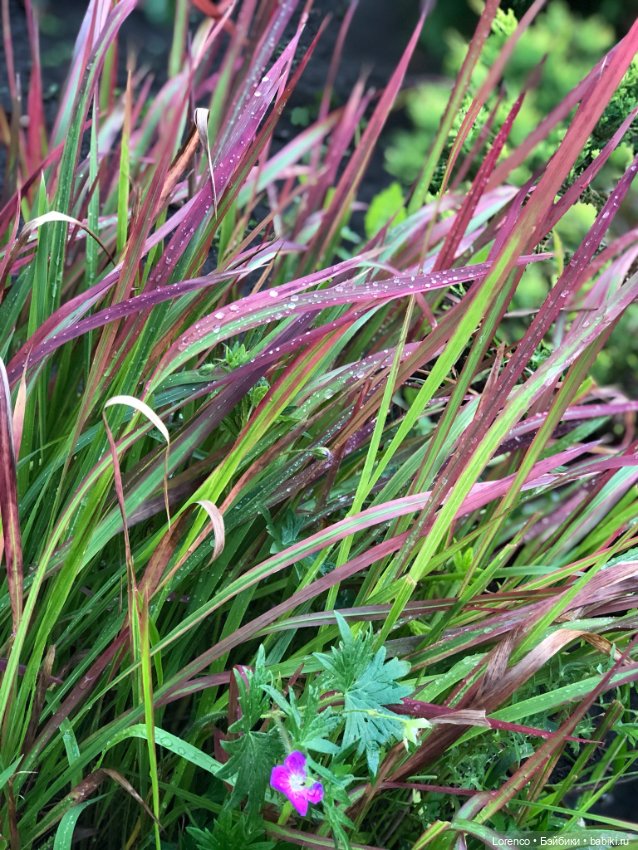 Это болезнь — Винтажные куклы ГДР (Немки): Бигги