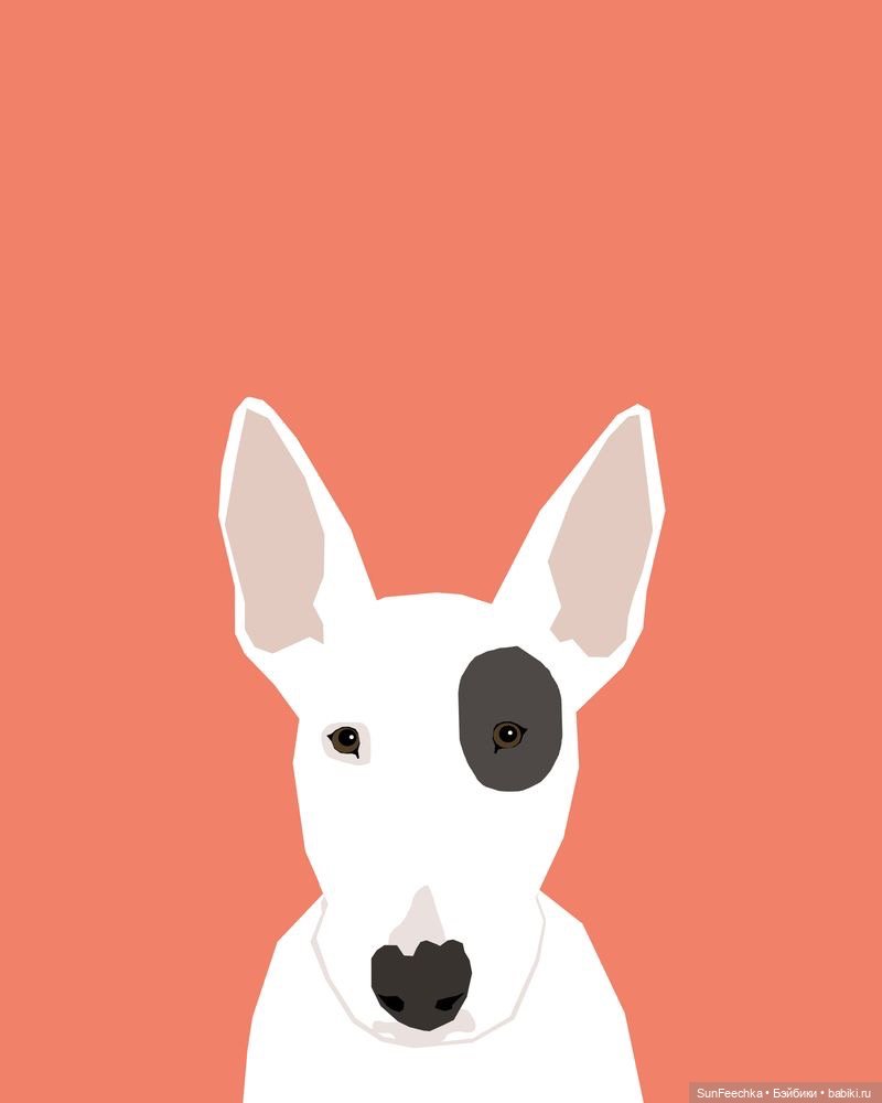 Матвей Сергеевич готовится стать хозяином бультерьера (фото 7)