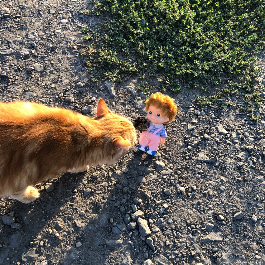 Это болезнь — Винтажные куклы ГДР (Немки): Бигги (фото 10)