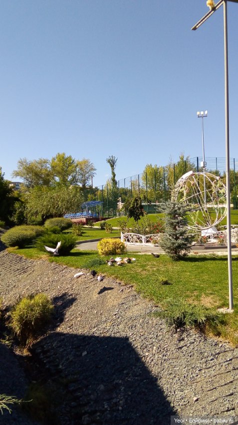 Кен Джон looks и солнечный денек