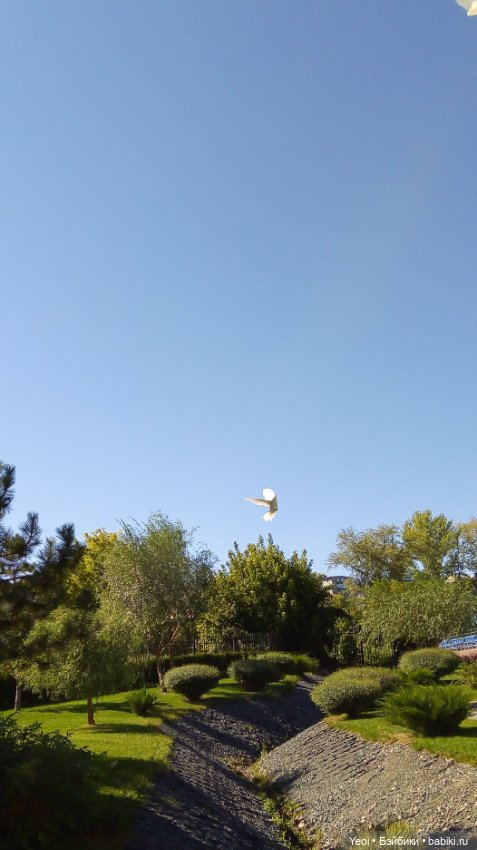 Кен Джон looks и солнечный денек