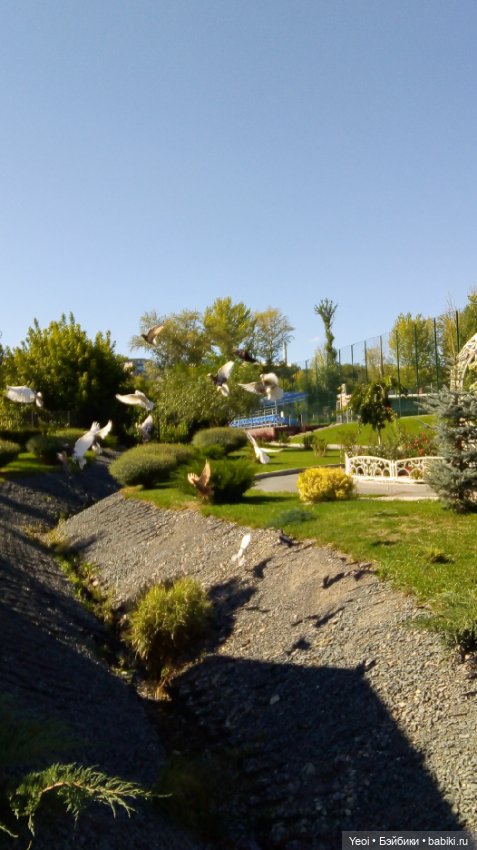 Кен Джон looks и солнечный денек