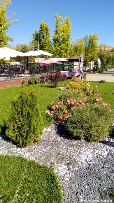 Кен Джон looks и солнечный денек