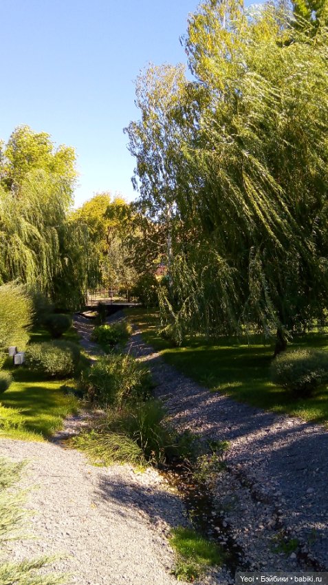 Кен Джон looks и солнечный денек