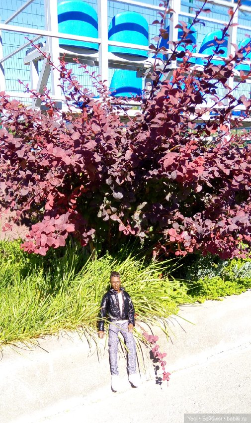 Кен Джон looks и солнечный денек