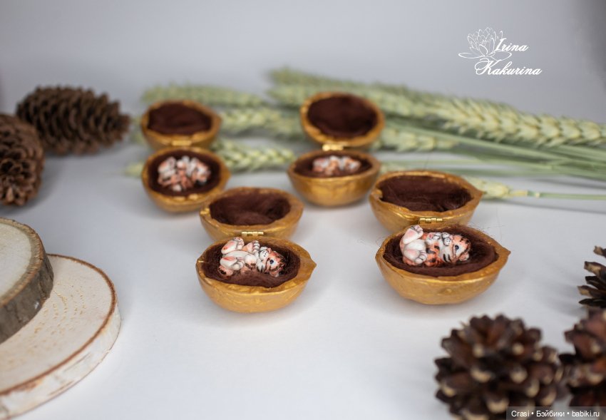 Миниатюрный тигрёнок в орешке (фото 2)