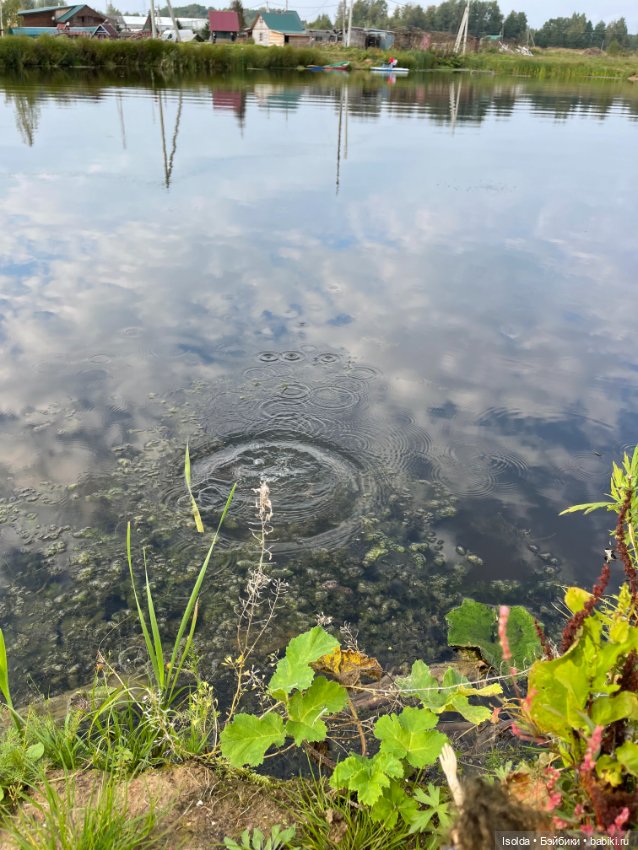 Осенняя встреча (Аврора Натальи Саморуковой) (фото 7)