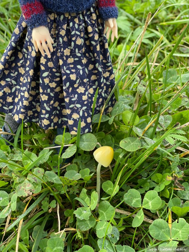 Осенняя встреча (Аврора Натальи Саморуковой)