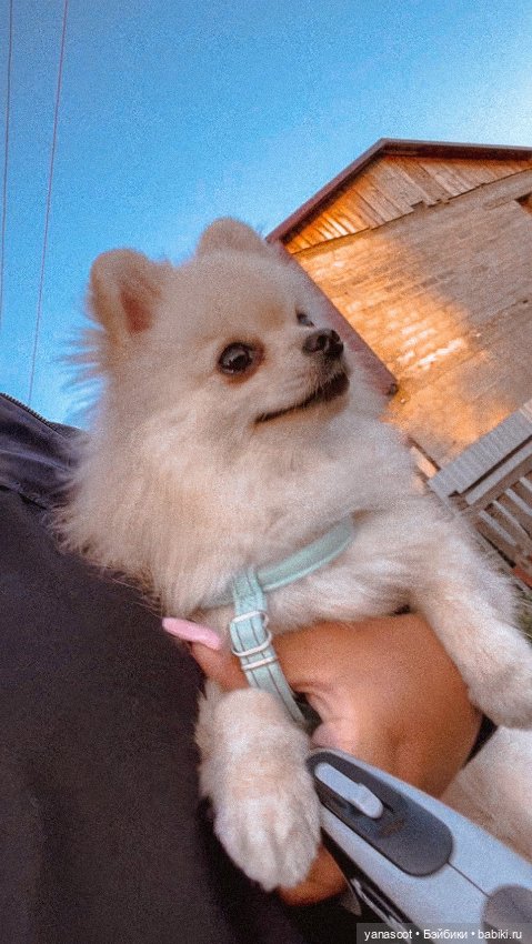 Почему реборны — Куклы Реборн (Reborn): домашние фото (фото 2)