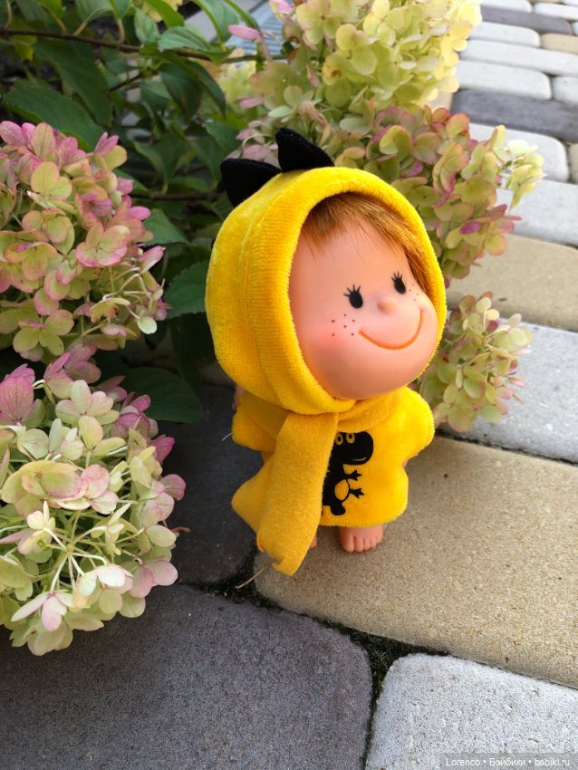 Холодает — Винтажные куклы ГДР (Немки): Бигги (фото 4)