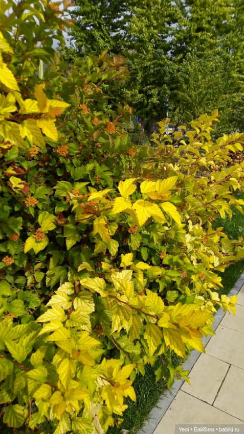 Парк и фигурка Фортнайт — Коллекционные экшн (фото 7)