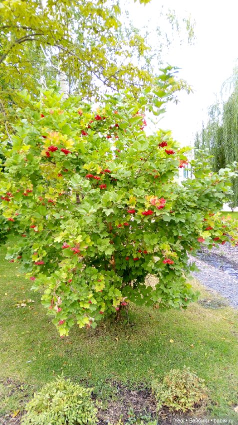 Парк и фигурка Фортнайт — Коллекционные экшн (фото 10)