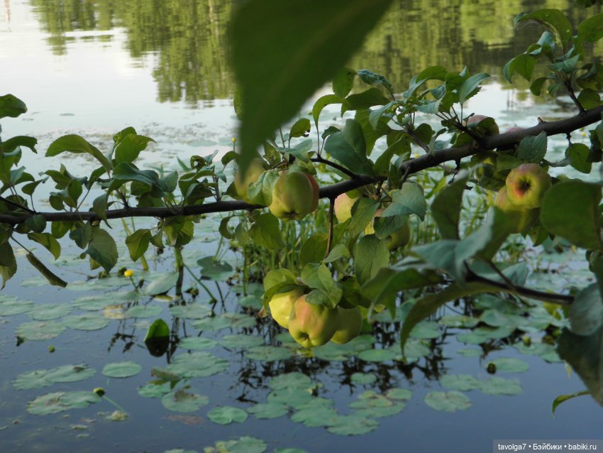 "Яблоки над водой" — Советские винтажные куклы (СССР): Ленигрушка (фото 8)