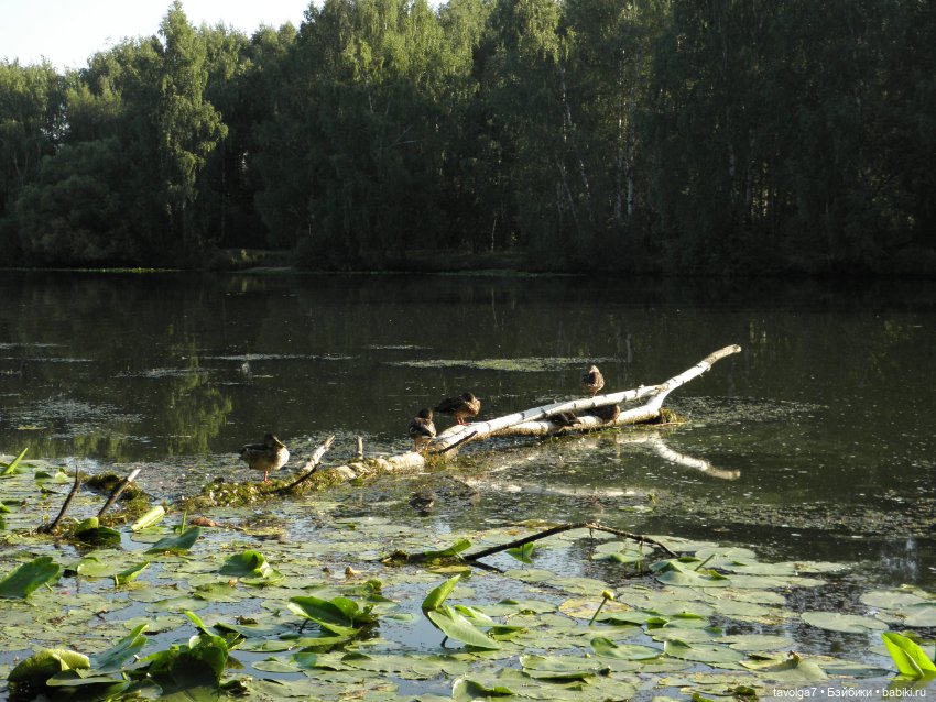 Лето для Дюймовочки — Советские винтажные куклы (СССР): Ленигрушка (фото 3)
