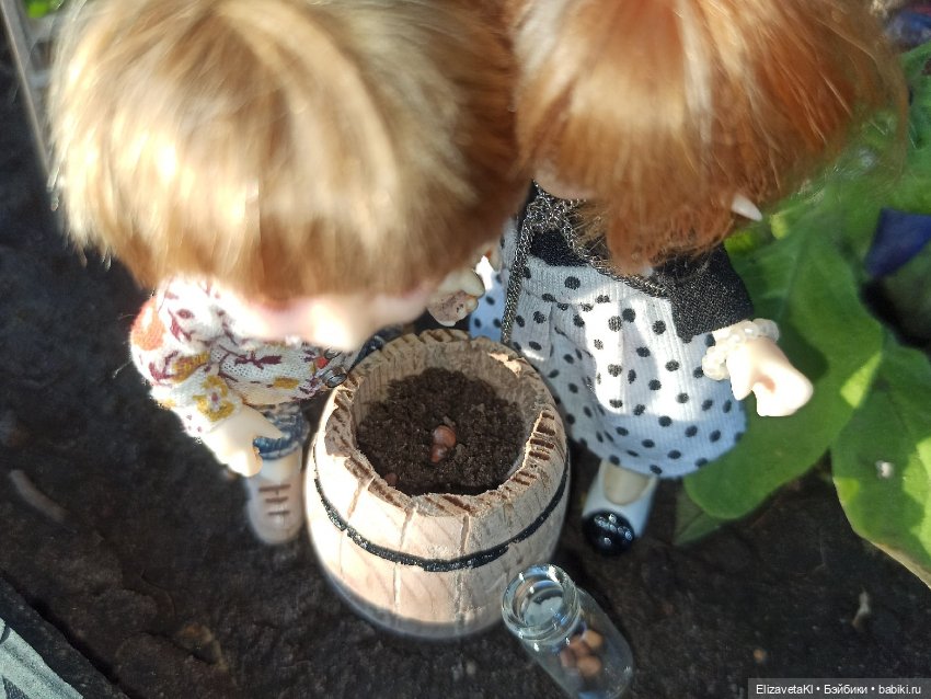 Зернышко. Realpuki. 132 — Фотоистории с куклами BJD (БЖД): сериалы (фото 6)