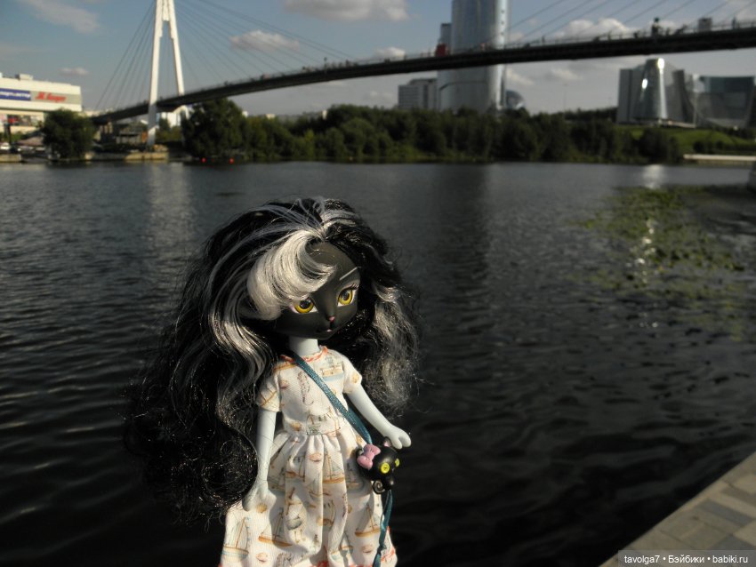 Необычный гибрид Catwalk Kitties