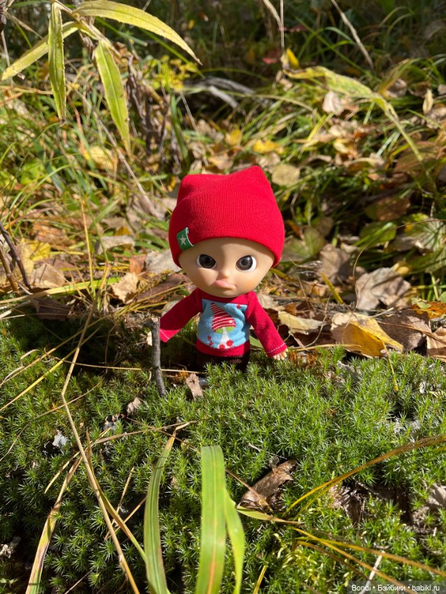 Оливер в солнечном лесу — Игровые куклы разных производителей (Разное): редкие бренды (фото 5)