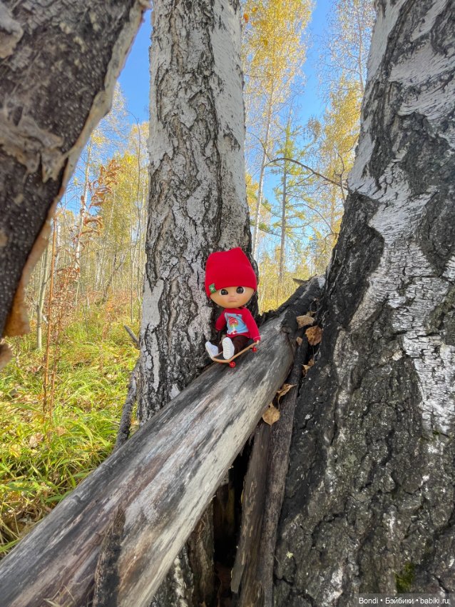 Оливер в солнечном лесу — Игровые куклы разных производителей (Разное): редкие бренды (фото 8)