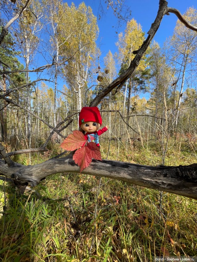 Оливер в солнечном лесу — Игровые куклы разных производителей (Разное): редкие бренды (фото 7)
