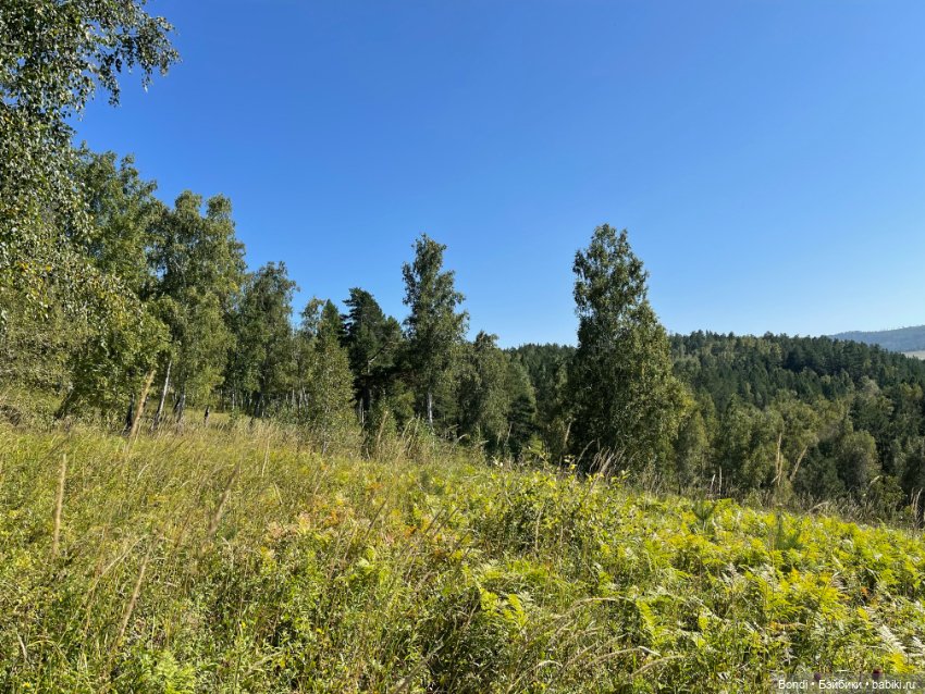 Оливер в солнечном лесу — Игровые куклы разных производителей (Разное): редкие бренды