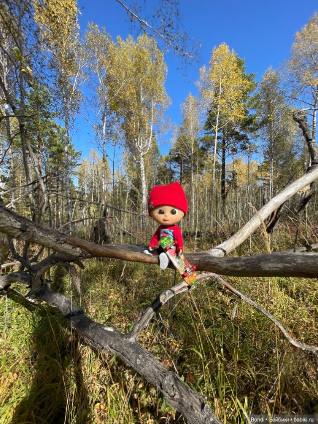 Оливер в солнечном лесу — Игровые куклы разных производителей (Разное): редкие бренды (фото 10)