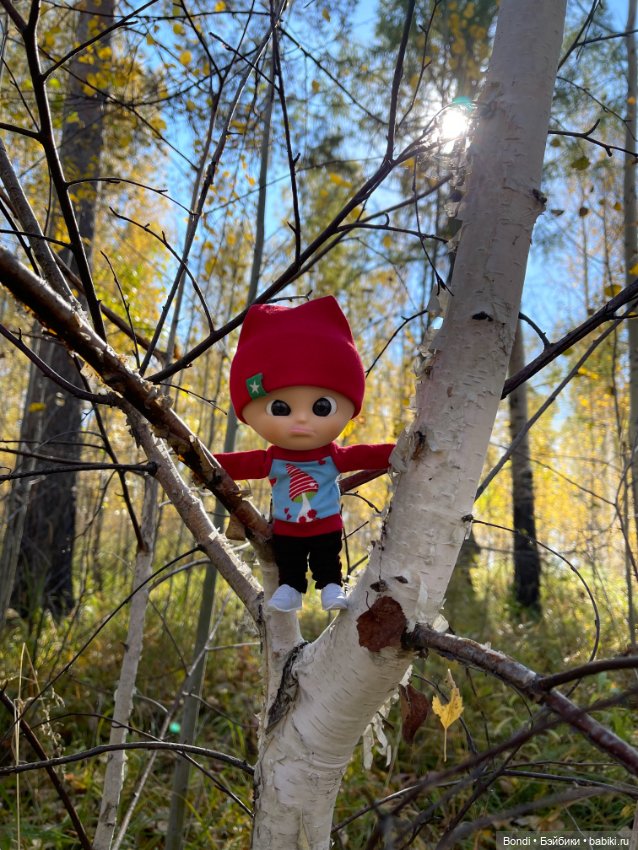 Оливер в солнечном лесу — Игровые куклы разных производителей (Разное): редкие бренды (фото 4)