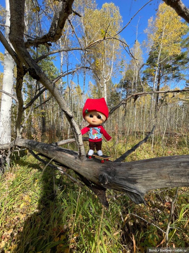 Оливер в солнечном лесу — Игровые куклы разных производителей (Разное): редкие бренды