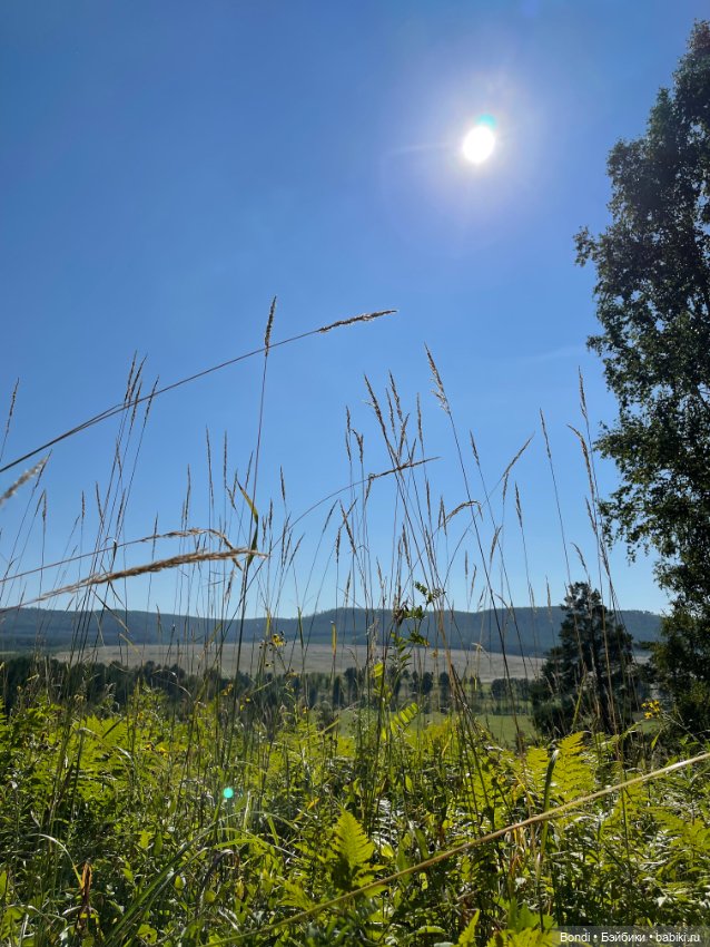 Оливер в солнечном лесу — Игровые куклы разных производителей (Разное): редкие бренды
