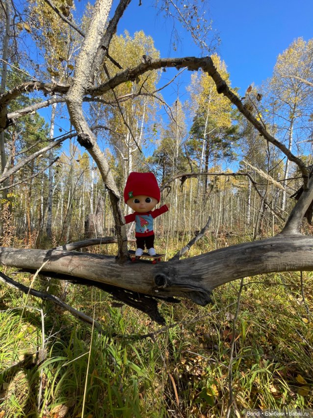 Оливер в солнечном лесу — Игровые куклы разных производителей (Разное): редкие бренды (фото 9)