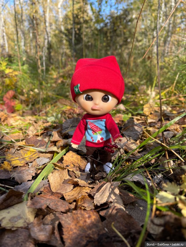 Оливер в солнечном лесу — Игровые куклы разных производителей (Разное): редкие бренды (фото 3)