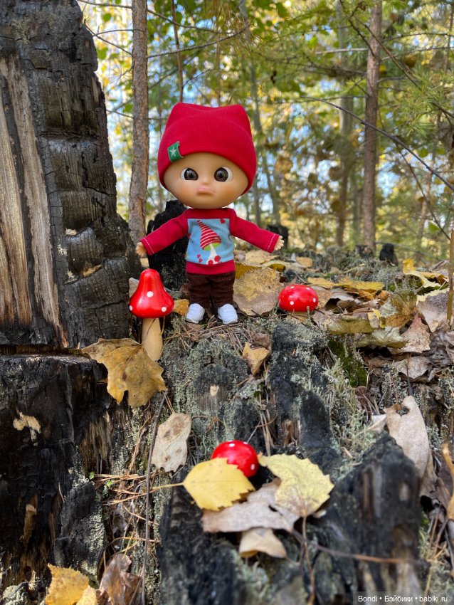 Оливер в солнечном лесу — Игровые куклы разных производителей (Разное): редкие бренды