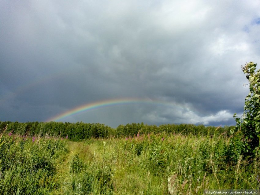 Осенняя радуга — Куклы Rosemarie Anna Muller (Мюллер): Вихтели (Wichtel)