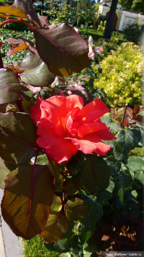 Парк и фигурка Фортнайт — Коллекционные экшн (фото 8)