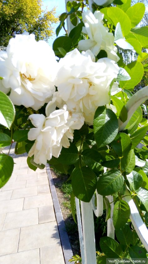 Парк и фигурка Фортнайт — Коллекционные экшн