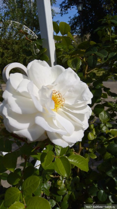 Парк и фигурка Фортнайт — Коллекционные экшн