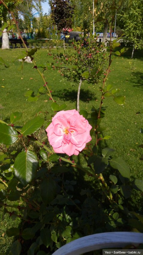 Парк и фигурка Фортнайт — Коллекционные экшн (фото 2)