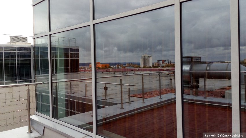 Сальмо на Ветеринарной конференции (фото 8)