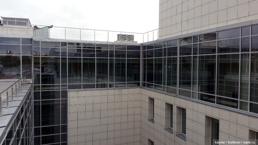 Сальмо на Ветеринарной конференции (фото 9)