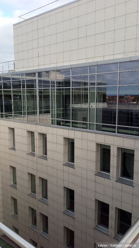 Сальмо на Ветеринарной конференции