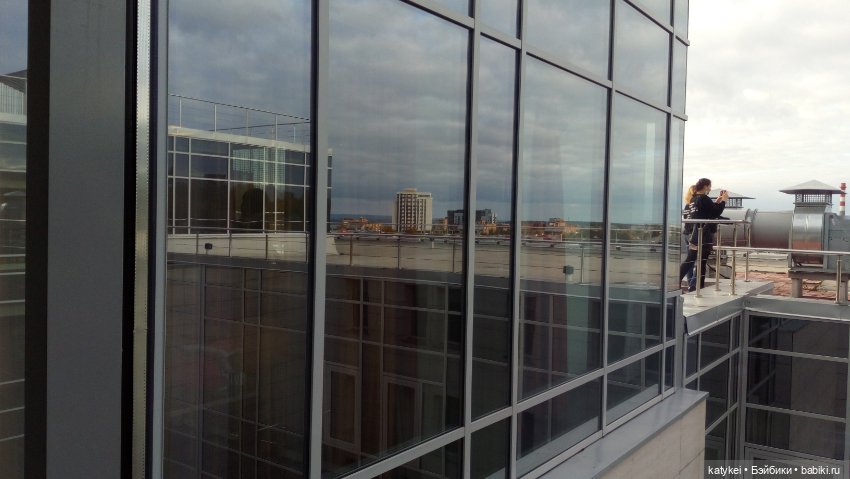 Сальмо на Ветеринарной конференции