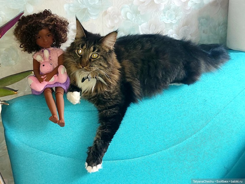 Расстановка — Испанские куклы (разное): Vestida de Azul (фото 5)