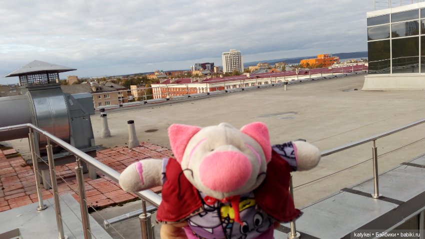 Сальмо на Ветеринарной конференции