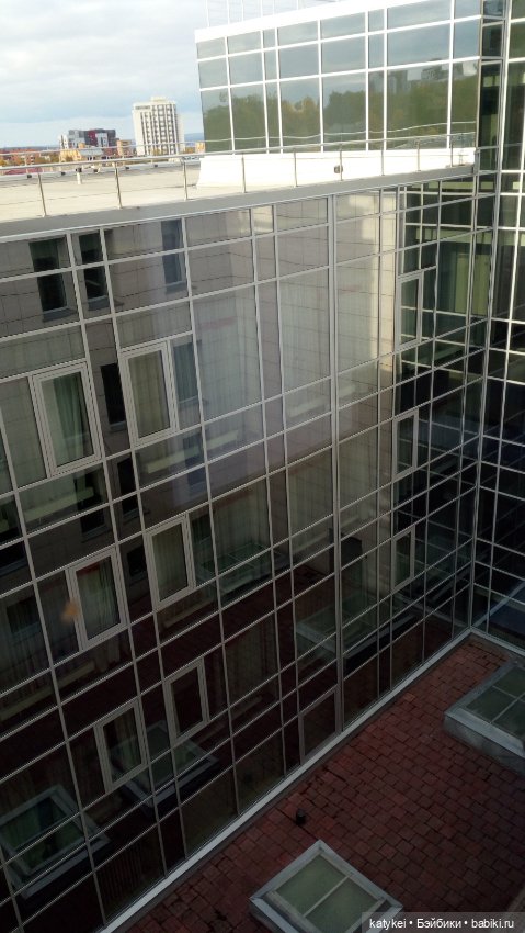 Сальмо на Ветеринарной конференции