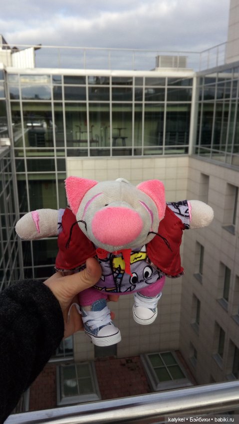 Сальмо на Ветеринарной конференции