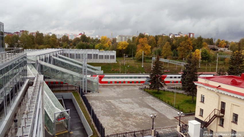 Сальмо на Ветеринарной конференции (фото 5)