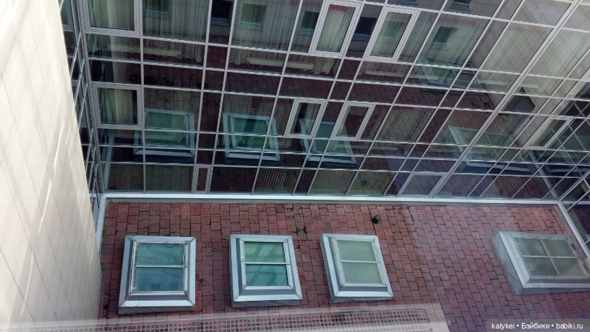 Сальмо на Ветеринарной конференции