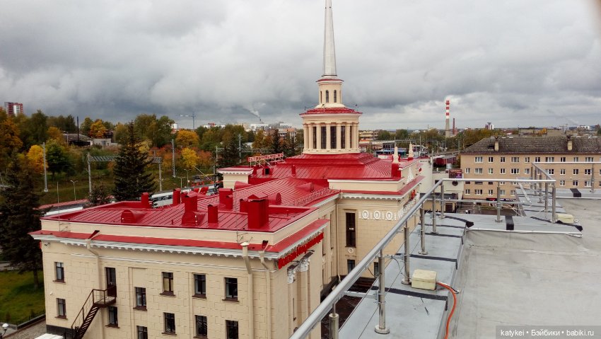 Сальмо на Ветеринарной конференции (фото 7)