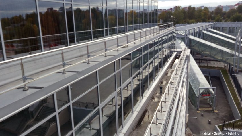 Сальмо на Ветеринарной конференции