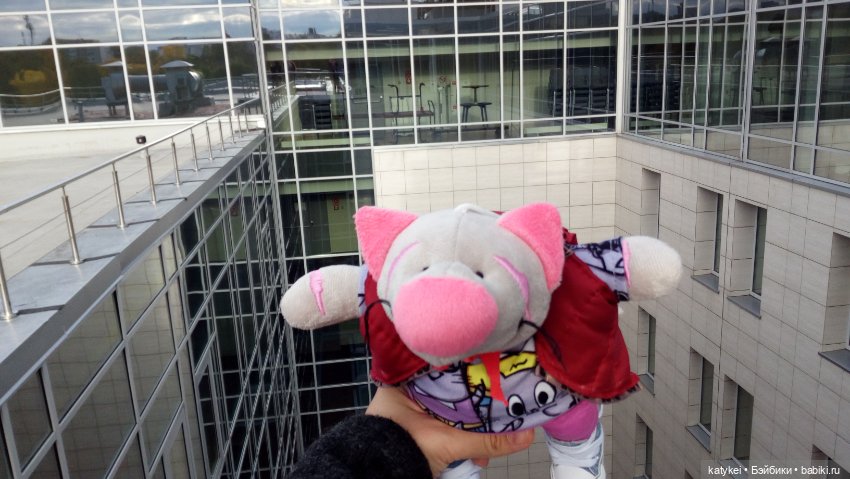 Сальмо на Ветеринарной конференции